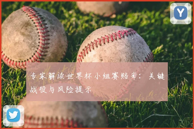 专家解读世界杯小组赛赔率：关键战役与风险提示