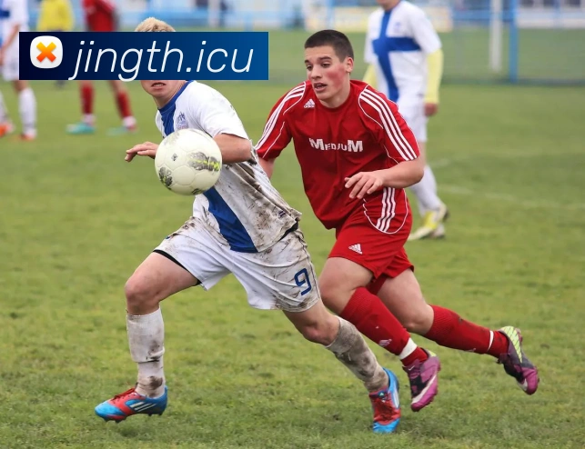 9游会ag官方APP 高清赛事图